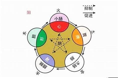 月字 五行|月字的五行是什么,月的五行属性及吉利寓意